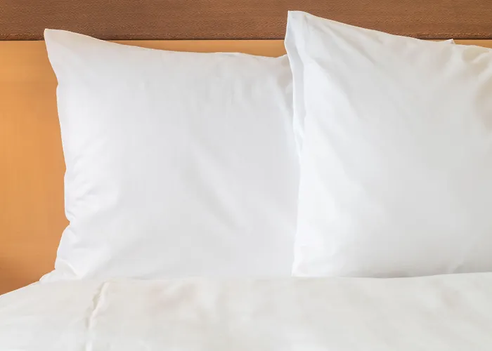 Indigo - Grand Des Arts, An Ihg (adults Only) فندق