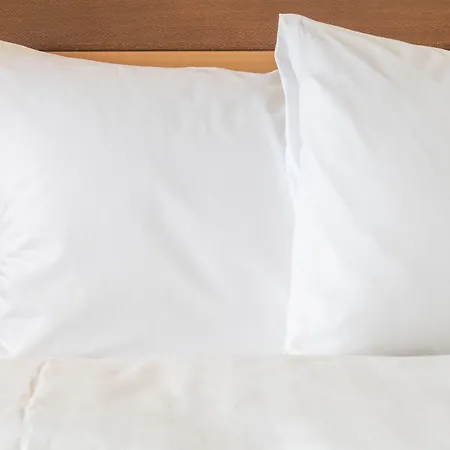 Indigo - Grand Des Arts Hotel